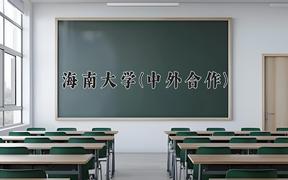 海南大学(中外合作)近三年在云南录取分数线(含2021-2023最低分)