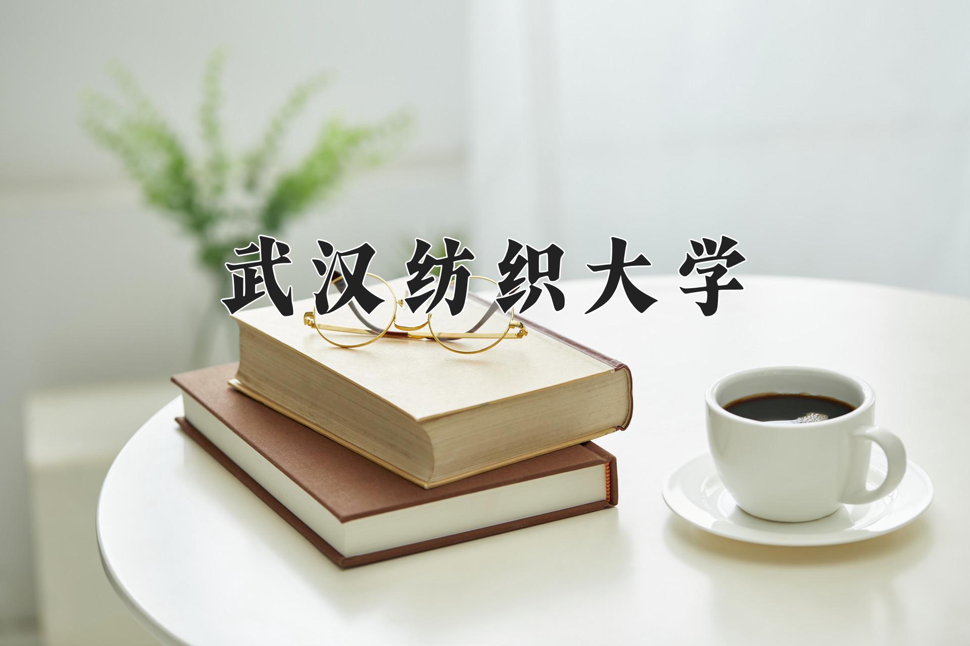 武汉纺织大学