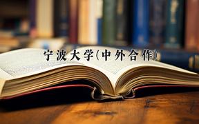 宁波大学(中外合作)近三年在云南录取分数线(含2021-2023最低分)