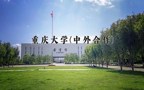 重庆大学(中外合作)近三年在云南录取分数线(含2021-2023最低分)