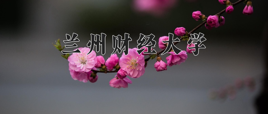 兰州财经大学