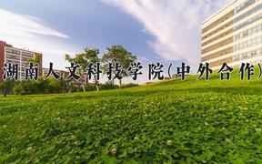 湖南人文科技学院(中外合作)近三年在云南录取分数线(含2021-2023最低分)