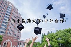 上海中医药大学(中外合作)近三年在云南录取分数线(含2021-2023最低分)