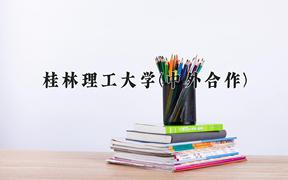 桂林理工大学(中外合作)近三年在云南录取分数线(含2021-2023最低分)