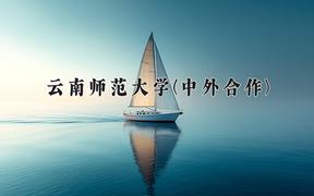 云南师范大学(中外合作)近三年在云南录取分数线(含2021-2023最低分)