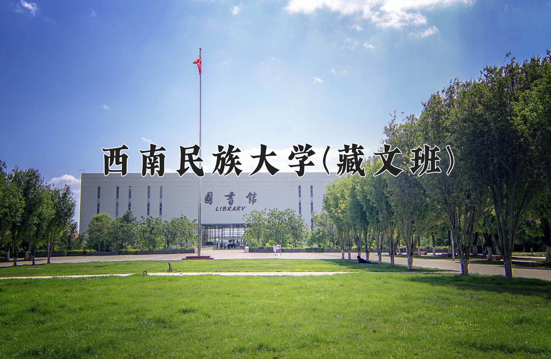 西南民族大学(藏文班)