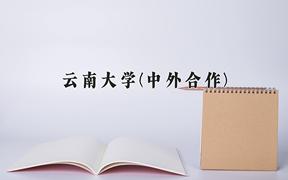 云南大学(中外合作)近三年在云南录取分数线(含2021-2023最低分)