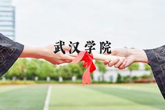 2024武汉学院录取分数线：山东最低491分