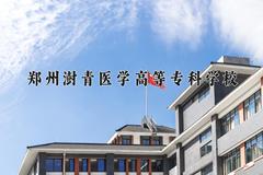 2024郑州澍青医学高等专科学校录取分数线：山东最低410分