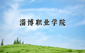 2024淄博职业学院录取分数线：山东最低306分