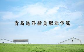 2024青岛远洋船员职业学院录取分数线：山东最低407分