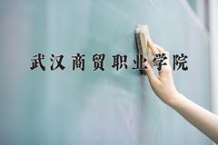 2024武汉商贸职业学院录取分数线：山东最低225分