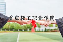 2024重庆轻工职业学院录取分数线：山东最低236分