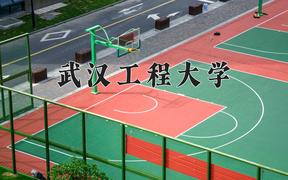 2024武汉工程大学录取分数线：山东最低515分