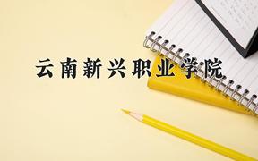 2024云南新兴职业学院录取分数线：山东最低235分