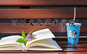 2024四川文化艺术学院录取分数线：山东最低398分