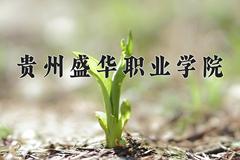 2024贵州盛华职业学院录取分数线：山东最低260分