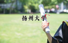 2024扬州大学录取分数线：山东最低543分