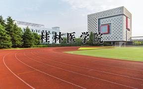 2024桂林医学院录取分数线：山东最低448分