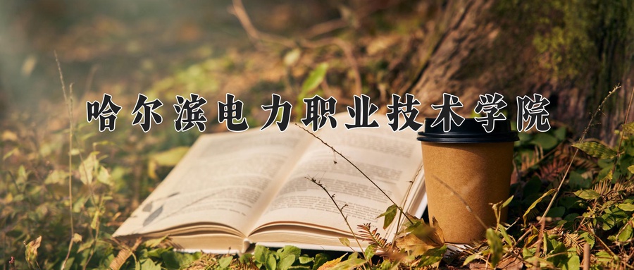 哈尔滨电力职业技术学院