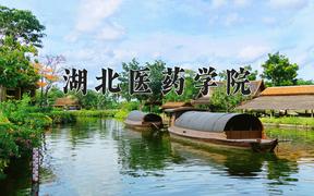 辽宁考生多少分能上湖北医药学院？2025最低544分