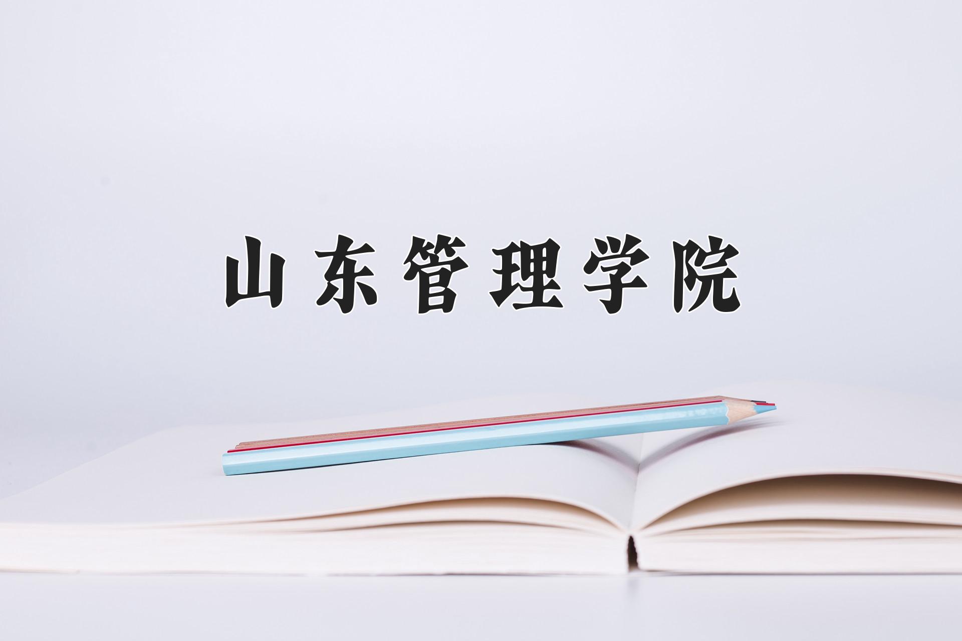 山东管理学院