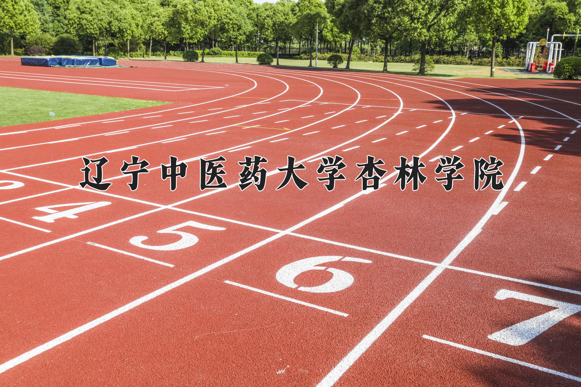 辽宁中医药大学杏林学院