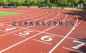 辽宁考生多少分能上辽宁中医药大学杏林学院？2025最低416分