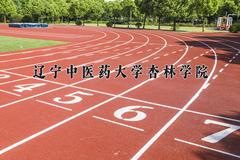 辽宁考生多少分能上辽宁中医药大学杏林学院？2025最低416分