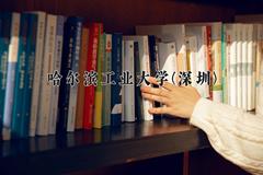 辽宁考生多少分能上哈尔滨工业大学(深圳)？2025最低612分