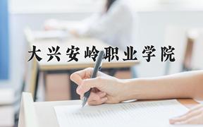 辽宁考生多少分能上大兴安岭职业学院？2025最低313分