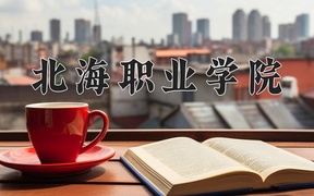 2024年北海职业学院全国录取分数线，附最低分和最低位次