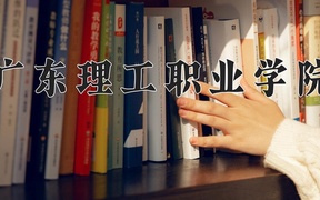 2024年广东理工职业学院全国录取分数线，附最低分和最低位次