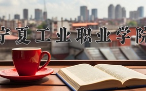 2024年宁夏工业职业学院全国录取分数线，附最低分和最低位次