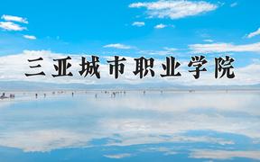 2024年三亚城市职业学院全国录取分数线，附最低分和最低位次