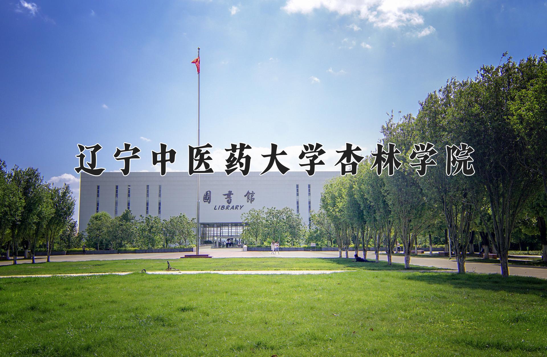 辽宁中医药大学杏林学院