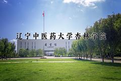 2024年辽宁中医药大学杏林学院全国录取分数线，附最低分和最低位次