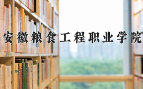 2024年安徽粮食工程职业学院全国录取分数线，附最低分和最低位次