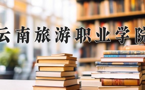 2024年云南旅游职业学院全国录取分数线，附最低分和最低位次