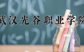 2024年武汉光谷职业学院全国录取分数线，附最低分和最低位次