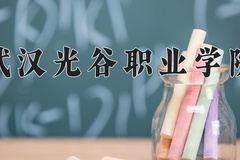 2024年武汉光谷职业学院全国录取分数线，附最低分和最低位次