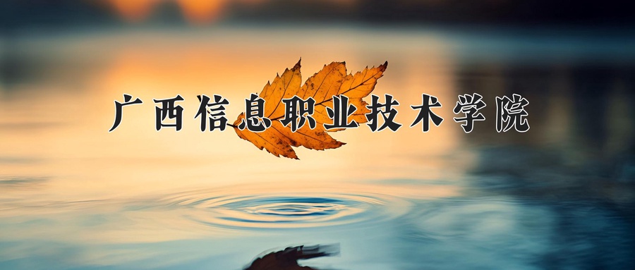 广西信息职业技术学院