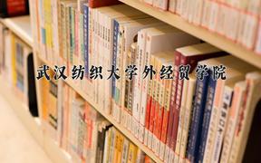 2024年武汉纺织大学外经贸学院全国录取分数线，附最低分和最低位次