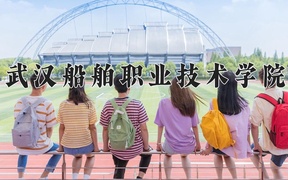 2024年武汉船舶职业技术学院全国录取分数线，附最低分和最低位次