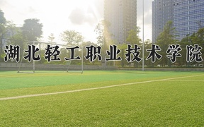 2024年湖北轻工职业技术学院全国录取分数线，附最低分和最低位次