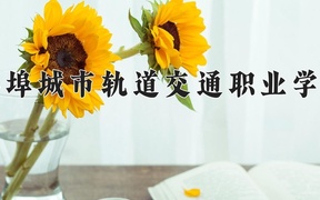 2024年蚌埠城市轨道交通职业学院全国录取分数线，附最低分和最低位次