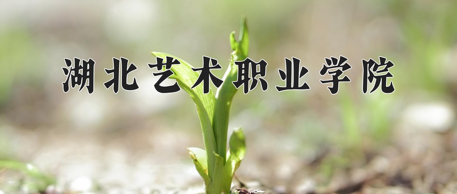 湖北艺术职业学院