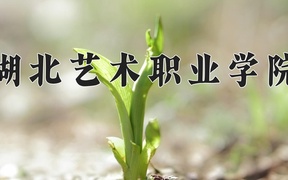 2024年湖北艺术职业学院全国录取分数线，附最低分和最低位次
