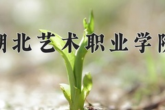 2024年湖北艺术职业学院全国录取分数线，附最低分和最低位次