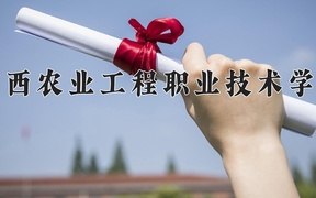 2024年广西农业工程职业技术学院全国录取分数线，附最低分和最低位次